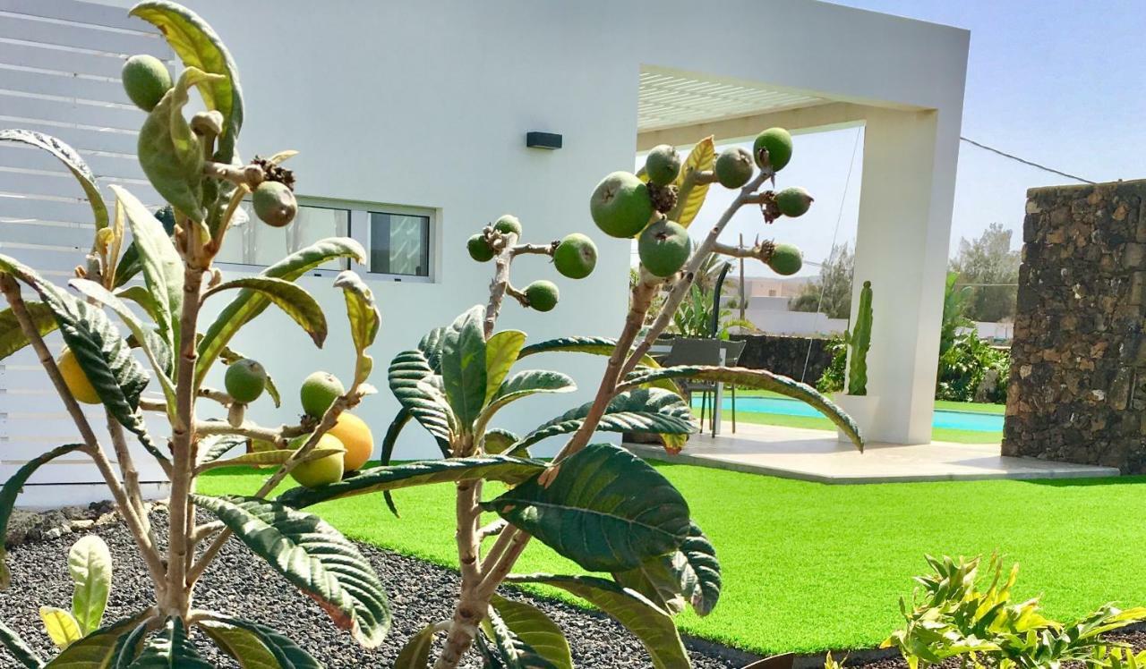 Turquesa 1 Fuerteventura Villa Lajares Bagian luar foto
